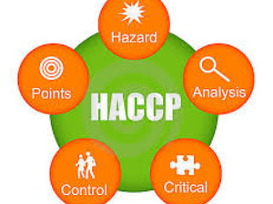 haccp1