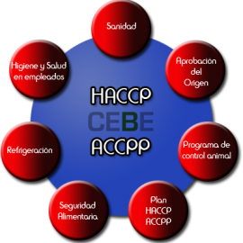 [:es]Normas de la industria alimentaria: la importancia del APPCC[:en]Standards of the food industry: the importance of HACCP[:]