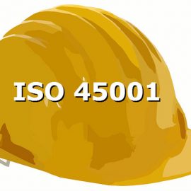 [:es]Transición hacia la ISO 45001, ¿como deberíamos prepararnos?[:en]ISO 45001 Transition- White Paper[:]