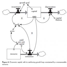 Thinking in systems.