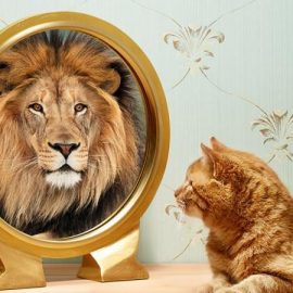 [:es]Efecto pigmalion: de un líder influyente[:en]Pigamalion effect: The influencer leader[:]