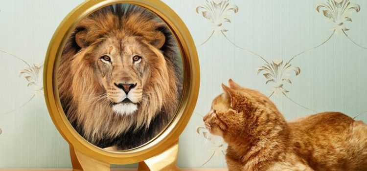 [:es]Efecto pigmalion: de un líder influyente[:en]Pigamalion effect: The influencer leader[:]