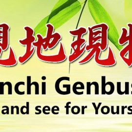 [:es]Excelencia Operacional: Genchi Genbutsu: Ver y mirar por ti mismo[:en]Operational Excellence: Genchi Genbutsu and the Circle of Ohno: Go and see for yourself[:]