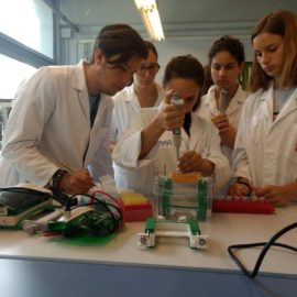 [:es]Eficacia individual: Parte I:  ¿Por que en el mundo laboral hay profesionales que rinden mejor que otro?[:]