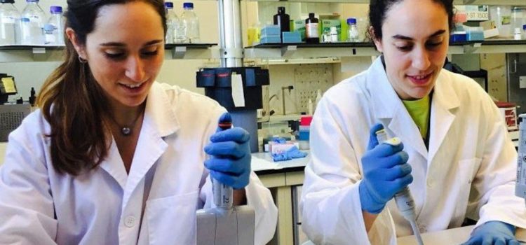 Stress laboral: Protegete ¡¡ Stress laboral: Protegete ¡¡