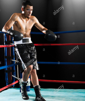 El cuadrilátero del neurolider El cuadrilátero del neurolider