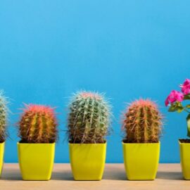 Contratar para un ajuste cultural no tiene que socavar la diversidad: Hiring for Culture Fit Doesn’t Have to Undermine Diversity Contratar para un ajuste cultural no tiene que socavar la diversidad: Hiring for Culture Fit Doesn’t Have to Undermine Diversity