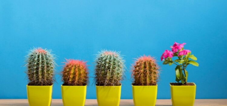 Contratar para un ajuste cultural no tiene que socavar la diversidad: Hiring for Culture Fit Doesn’t Have to Undermine Diversity