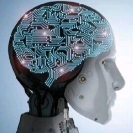 Nuestra start-up se hace grande