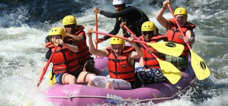 Coaching organizacional : parte 2