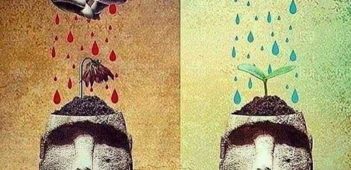 Redarquia: el hábitat natural de los knowmad y silver surfers Redarquia: el hábitat natural de los knowmad y silver surfers