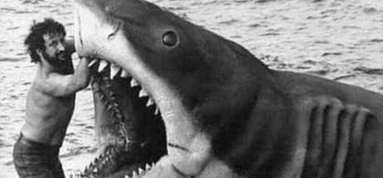 El costo de la salud mental de trabajar en aislamiento El costo de la salud mental de trabajar en aislamiento