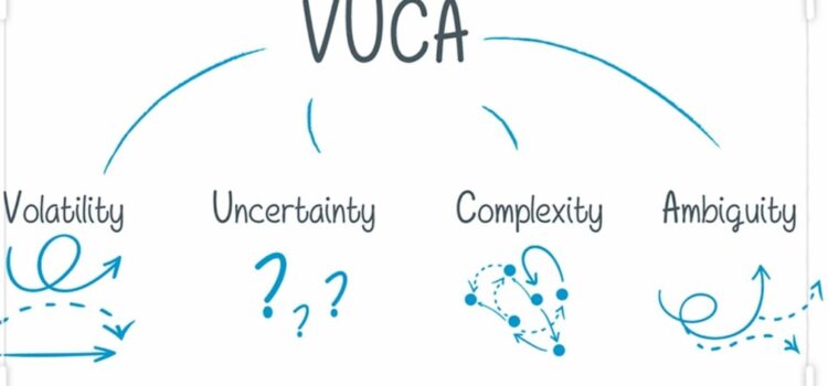 Perfil del profesional en entornos VUCA Perfil del profesional en entornos VUCA