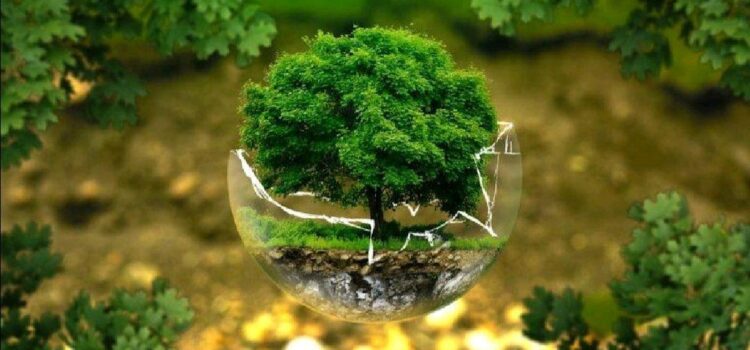 El líder de hoy debe constantemente lidiar con 7 tensiones en las organizaciones de éxito El líder de hoy debe constantemente lidiar con 7 tensiones en las organizaciones de éxito