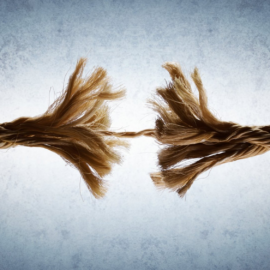 Company Health & Wellness 10 Commandments Company Health & Wellness 10 Commandments