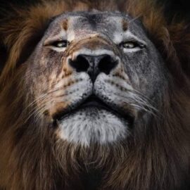 Ciberseguridad industrial