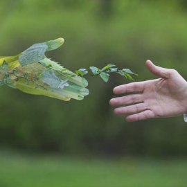 Inteligencia artificial aliada de la industria 4.0